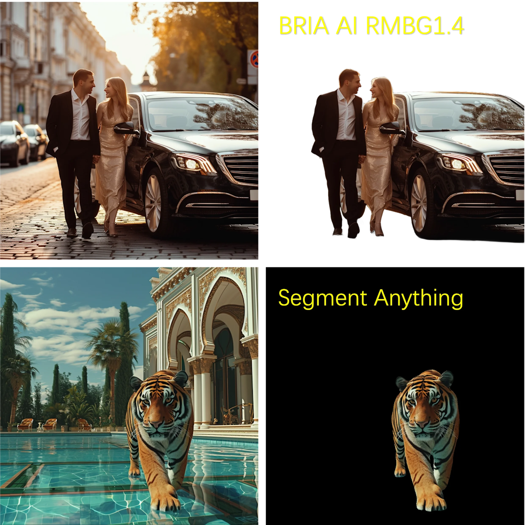 BRIA AI RMBG 1.4 vs Segment Anything | Background Removal