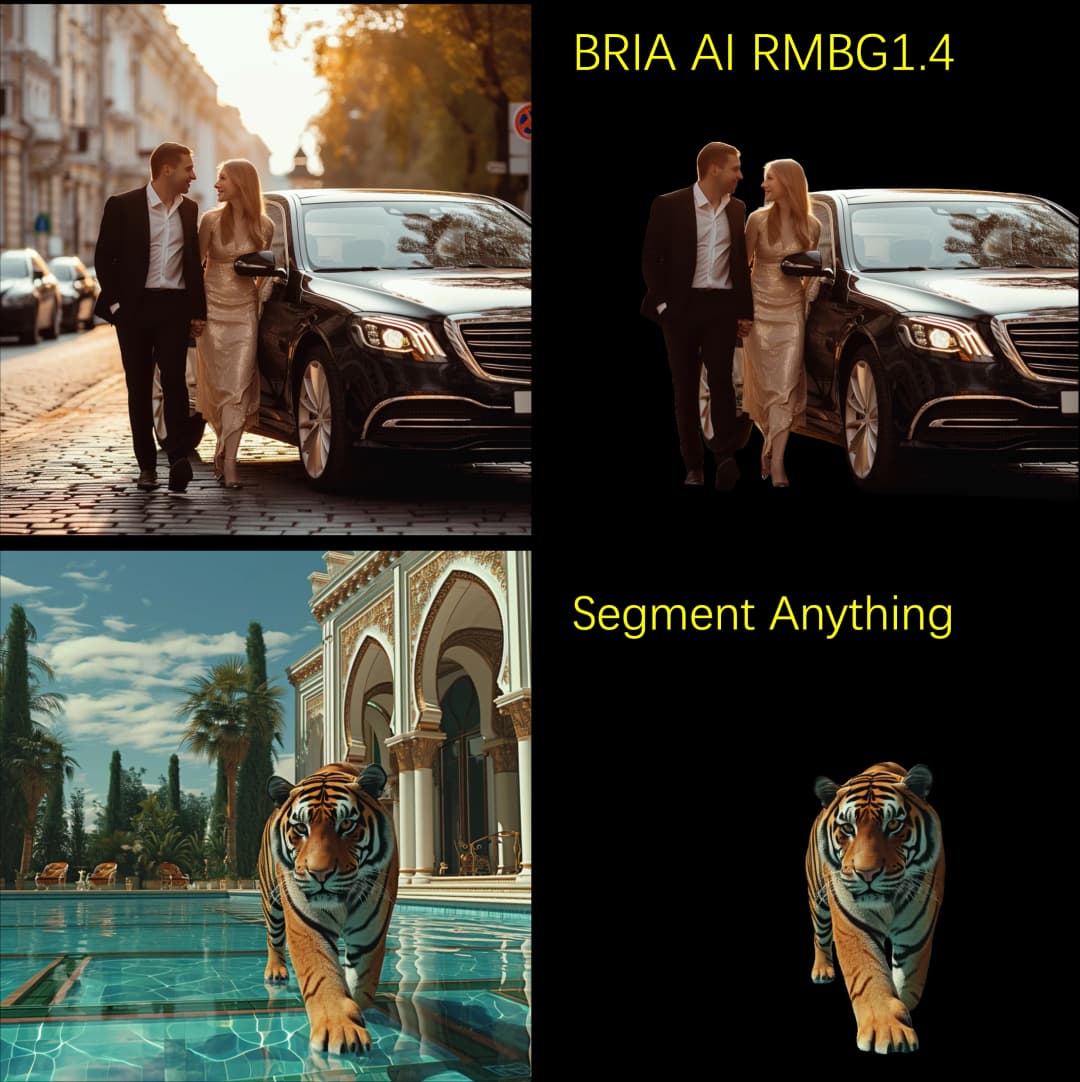 BRIA AI RMBG 1.4 vs Segment Anything | Odstranění pozadí
